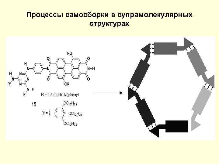 Процессы самосборки в супрамолекулярных структурах 