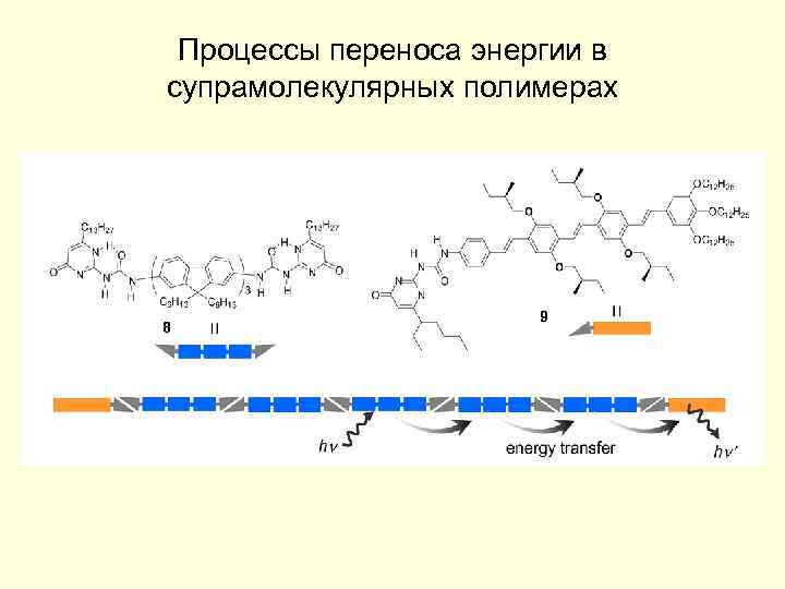 Процессы переноса энергии в супрамолекулярных полимерах 