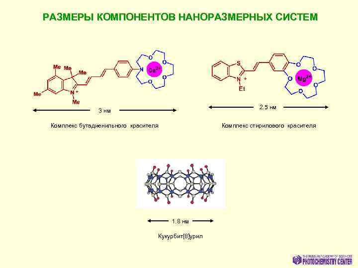 РАЗМЕРЫ КОМПОНЕНТОВ НАНОРАЗМЕРНЫХ СИСТЕМ 2. 5 нм 3 нм Комплекс бутадиенильного красителя Комплекс стирилового