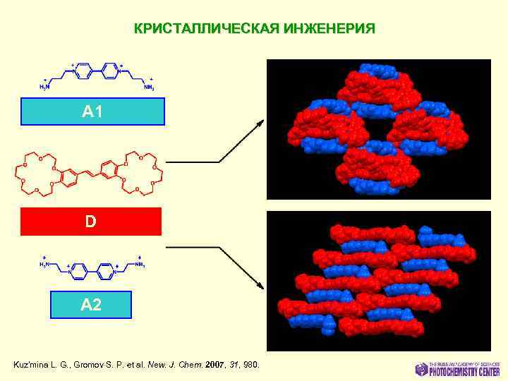 КРИСТАЛЛИЧЕСКАЯ ИНЖЕНЕРИЯ A 1 D A 2 Kuz’mina L. G. , Gromov S. P.