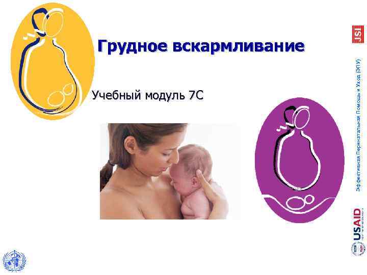 Учебный модуль 7 C Эффективная Перинатальная Помощь и Уход (ЭПУ) Грудное вскармливание 