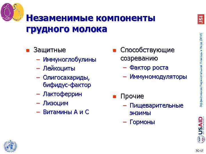 n Защитные n – – – Иммуноглобулины Лейкоциты Олигосахариды, бифидус-фактор – Лактоферрин – Лизоцим