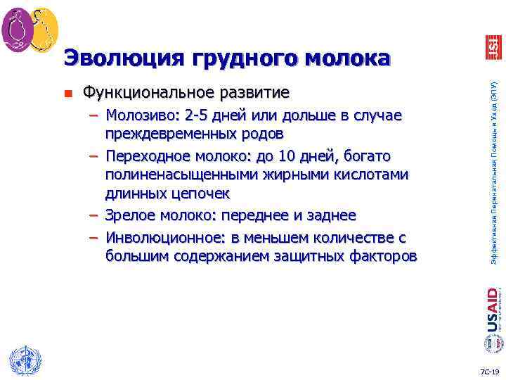 n Функциональное развитие – Молозиво: 2 -5 дней или дольше в случае преждевременных родов