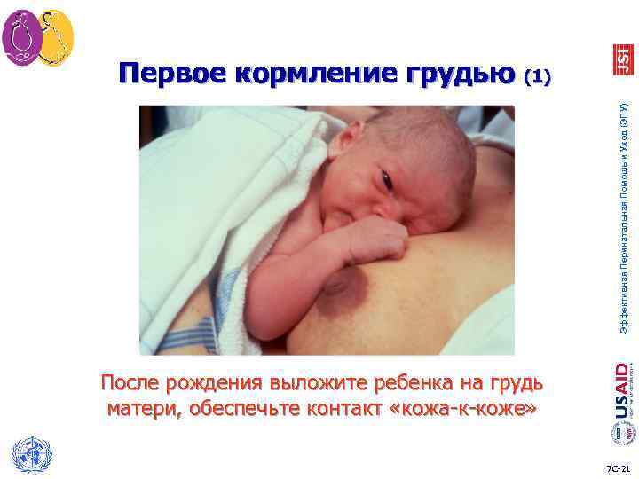 Эффективная Перинатальная Помощь и Уход (ЭПУ) Первое кормление грудью (1) После рождения выложите ребенка