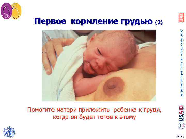 Эффективная Перинатальная Помощь и Уход (ЭПУ) Первое кормление грудью (2) Помогите матери приложить ребенка