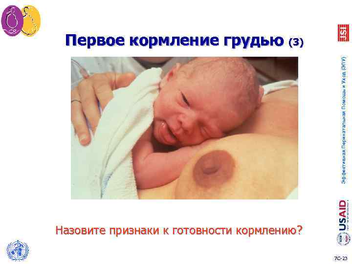 Эффективная Перинатальная Помощь и Уход (ЭПУ) Первое кормление грудью (3) Назовите признаки к готовности
