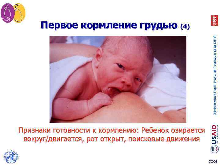 Эффективная Перинатальная Помощь и Уход (ЭПУ) Первое кормление грудью (4) Признаки готовности к кормлению: