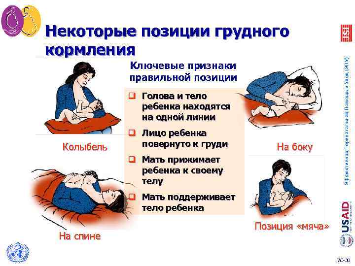 Ключевые признаки правильной позиции q Голова и тело ребенка находятся на одной линии Колыбель