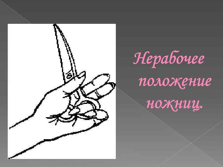 Как правильно пишется ножницы. Способы держания ножниц. Приемы держания ножниц при стрижке. Нерабочее положение ножниц парикмахера. Прием держания ножниц парикмахерских.