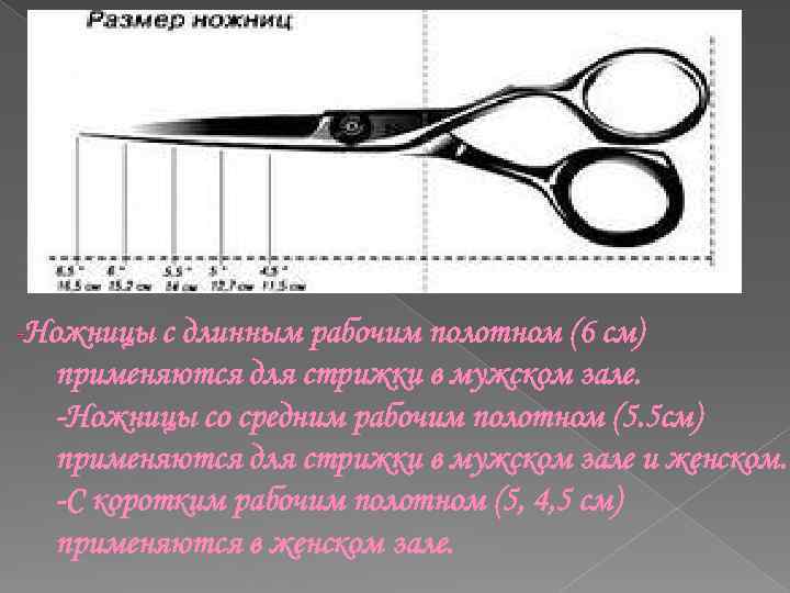 Как правильно пишется ножницы. Ножницы парикмахерские Размеры. Размер ножниц парикмахерских. Парикмахерские ножницы строение. Строение ножниц парикмахера.