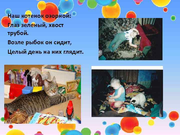 Наш котенок озорной: Глаз зеленый, хвост трубой. Возле рыбок он сидит, Целый день на