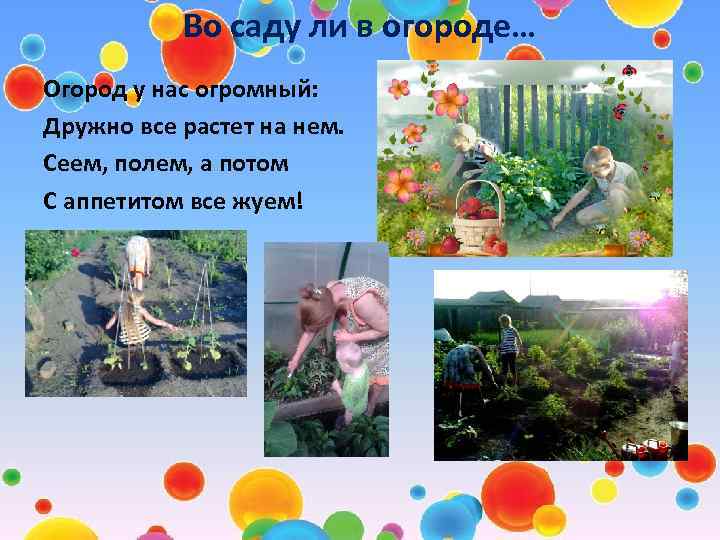 Во саду ли в огороде… Огород у нас огромный: Дружно все растет на нем.