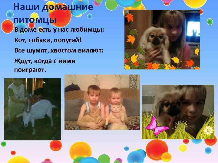 Наши домашние питомцы В доме есть у нас любимцы: Кот, собаки, попугай! Все шумят,
