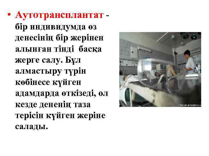  • Аутотрансплантат бір индивидумда өз денесінің бір жерінен алынған тінді басқа жерге салу.