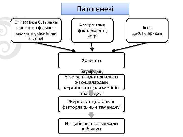 Патогенезі Өт пассажы бұзылысы және өттің физико – химиялық қасиетінің өзгеруі Аллергиялық факторлардың әсері