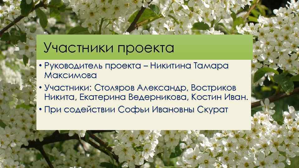 Участники проекта • Руководитель проекта – Никитина Тамара Максимова • Участники: Столяров Александр, Востриков