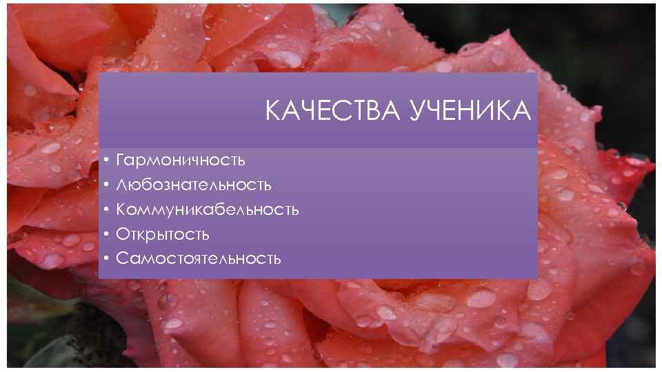 КАЧЕСТВА УЧЕНИКА • • • Гармоничность Любознательность Коммуникабельность Открытость Самостоятельность 