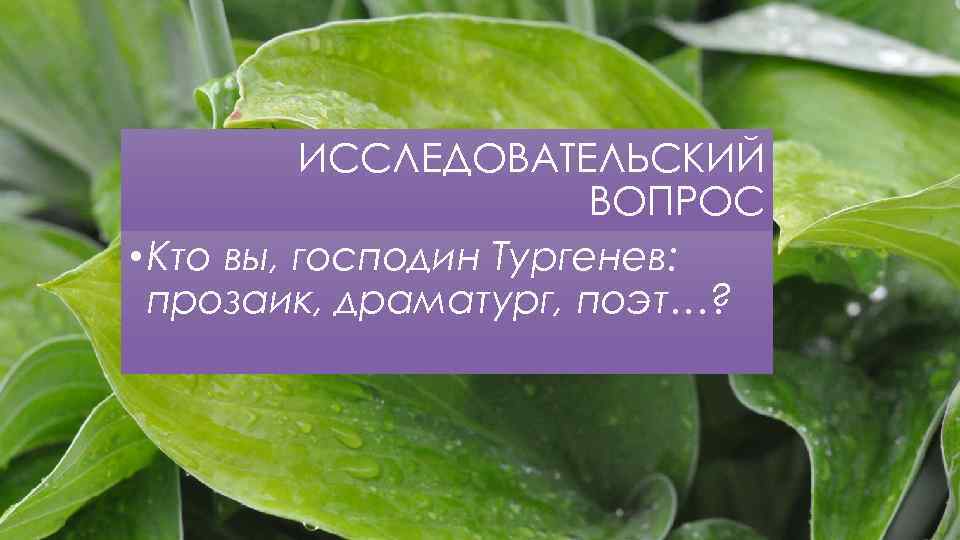 ИССЛЕДОВАТЕЛЬСКИЙ ВОПРОС • Кто вы, господин Тургенев: прозаик, драматург, поэт…? 