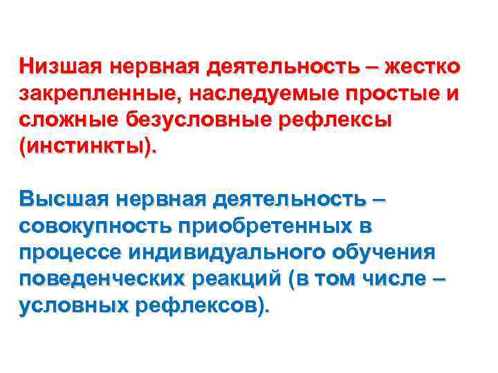 Низшая нервная. Высшая и Низшая нервная деятельность. Функции низшей нервной деятельности.