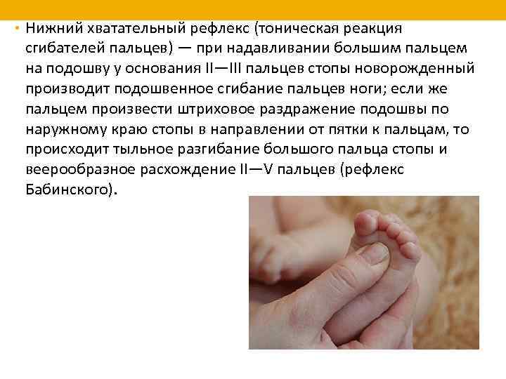  • Нижний хватательный рефлекс (тоническая реакция сгибателей пальцев) — при надавливании большим пальцем