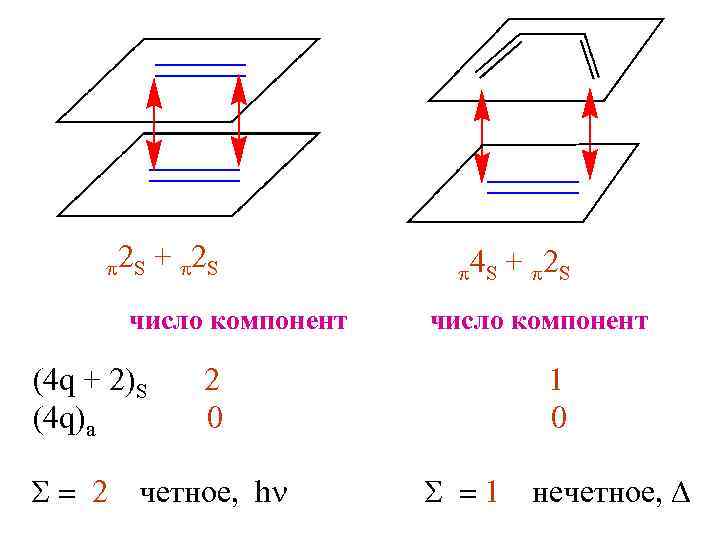 p 2 S + p 2 S число компонент p 4 S + p