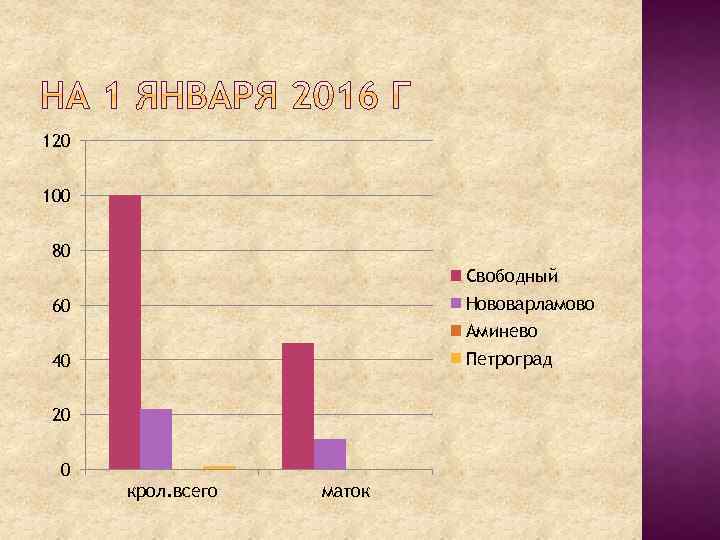 120 100 80 Свободный Нововарламово 60 Аминево Петроград 40 20 0 крол. всего маток