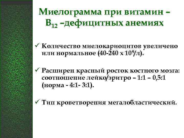 Миелограмма при витамин – В 12 –дефицитных анемиях ü Количество миелокариоцитов увеличено или нормальное