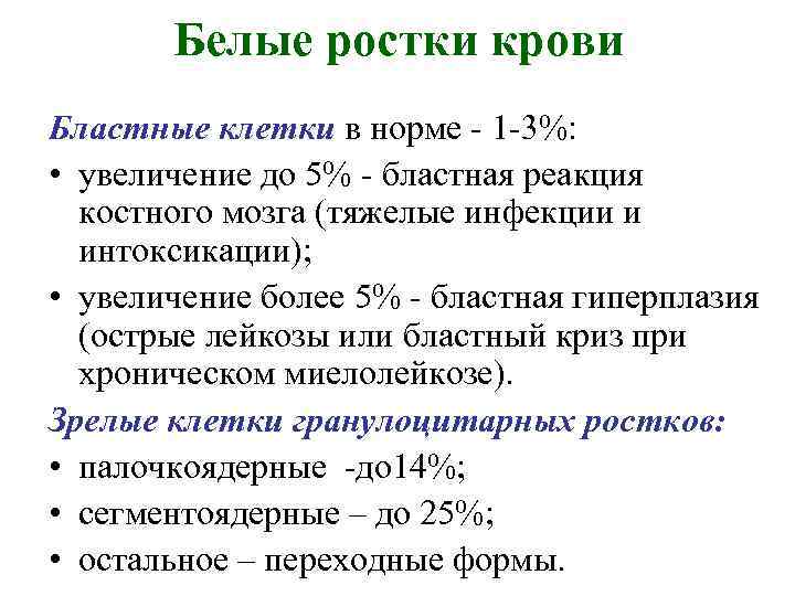 Белые ростки крови Бластные клетки в норме - 1 -3%: • увеличение до 5%