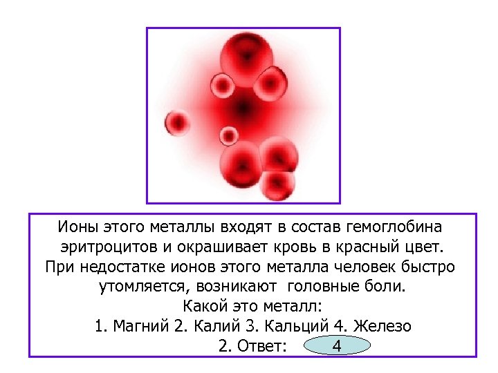 Ионы этого металлы входят в состав гемоглобина эритроцитов и окрашивает кровь в красный цвет.