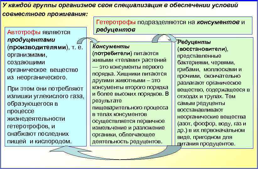 У каждой группы организмов своя специализация в обеспечении условий совместного проживания: Гетеротрофы подразделяются на