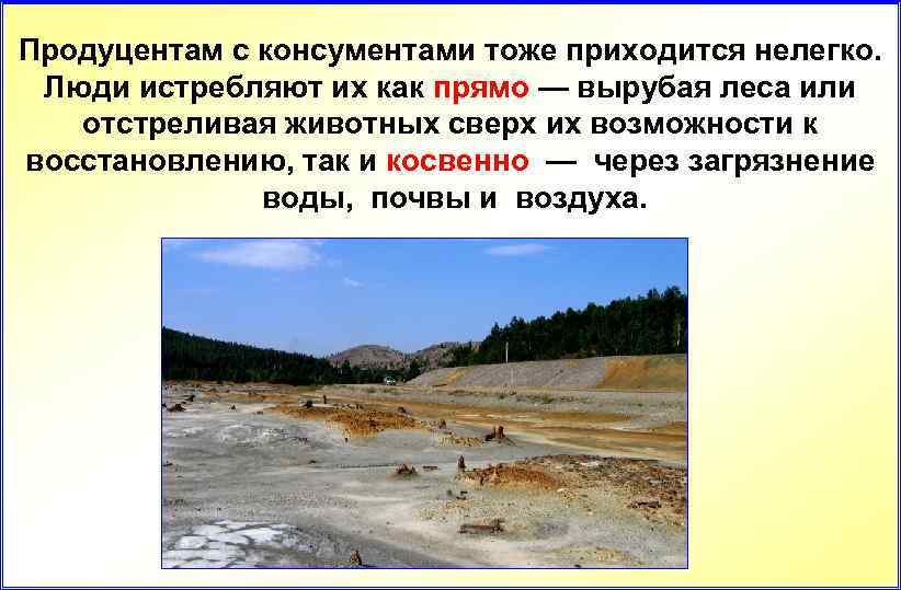 Продуцентам с консументами тоже приходится нелегко. Люди истребляют их как прямо — вырубая леса