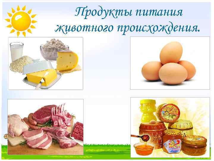 Продукты питания животного происхождения. 