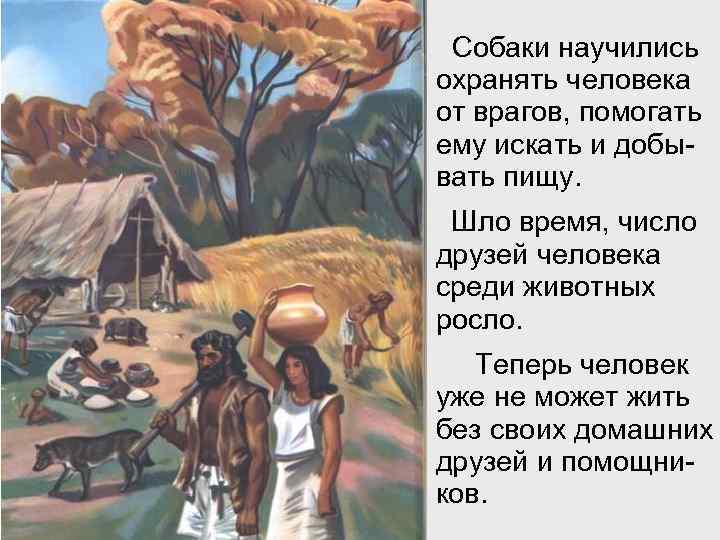 Собаки научились охранять человека от врагов, помогать ему искать и добывать пищу. Шло время,