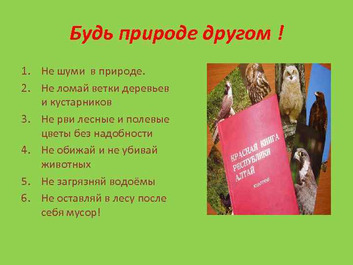 Будь природе другом ! 1. Не шуми в природе. 2. Не ломай ветки деревьев
