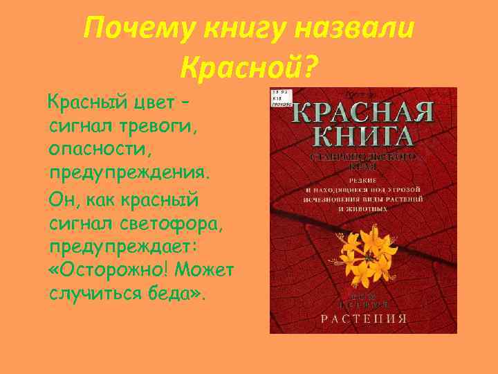 Почему книгу назвали Красной? Красный цвет – сигнал тревоги, опасности, предупреждения. Он, как красный