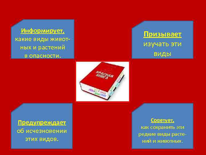 Информирует, какие виды животных и растений в опасности. Призывает изучать эти виды Предупреждает об