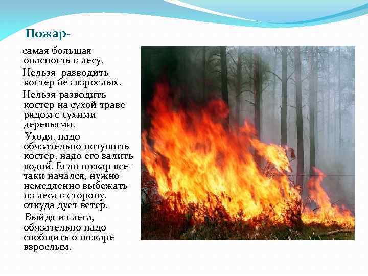 Пожарсамая большая опасность в лесу. Нельзя разводить костер без взрослых. Нельзя разводить костер на
