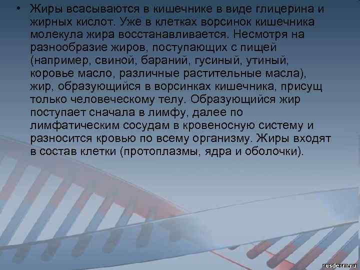  • Жиры всасываются в кишечнике в виде глицерина и жирных кислот. Уже в