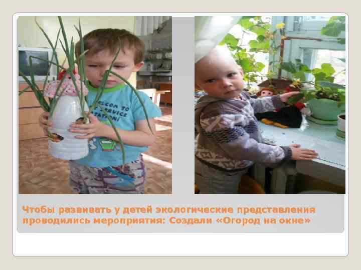 Чтобы развивать у детей экологические представления проводились мероприятия: Создали «Огород на окне» 