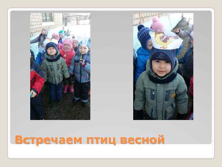 Встречаем птиц весной 