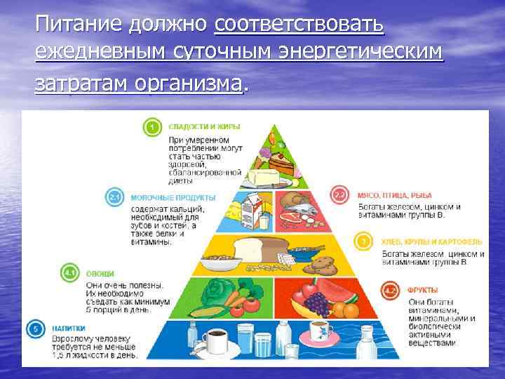 Питание должно соответствовать ежедневным суточным энергетическим затратам организма. 