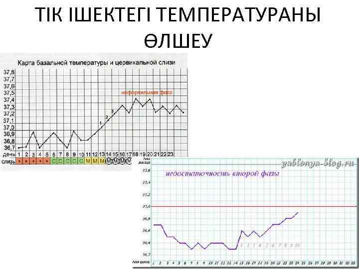 ТІК ІШЕКТЕГІ ТЕМПЕРАТУРАНЫ ӨЛШЕУ 