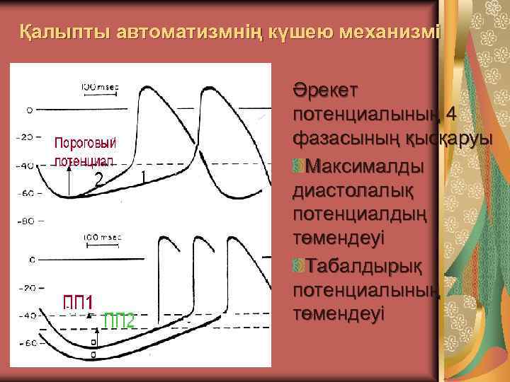 Қалыпты автоматизмнің күшею механизмі Әрекет потенциалының 4 фазасының қысқаруы Максималды диастолалық потенциалдың төмендеуі Табалдырық