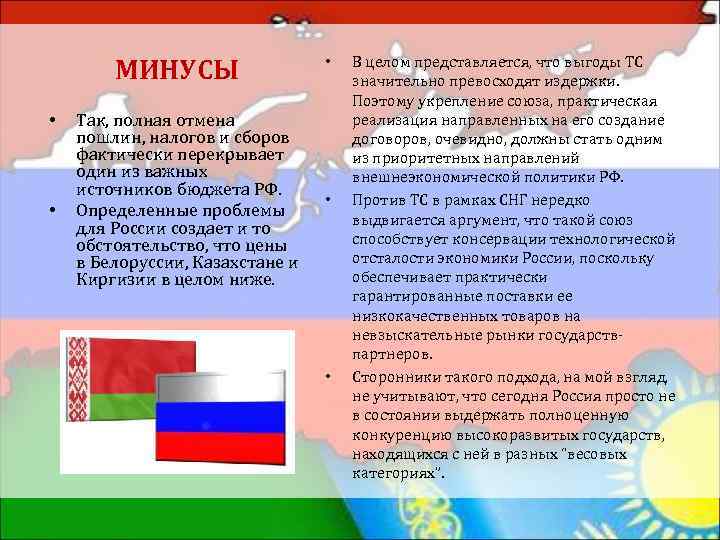 МИНУСЫ • • Так, полная отмена пошлин, налогов и сборов фактически перекрывает один из
