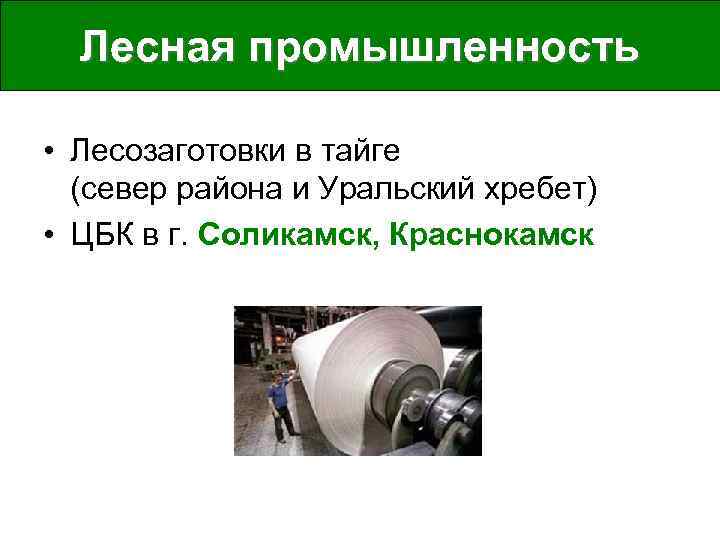 Лесная промышленность • Лесозаготовки в тайге (север района и Уральский хребет) • ЦБК в