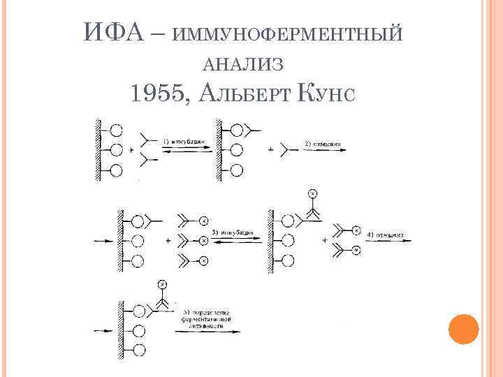 ИФА – ИММУНОФЕРМЕНТНЫЙ АНАЛИЗ 1955, АЛЬБЕРТ КУНС 