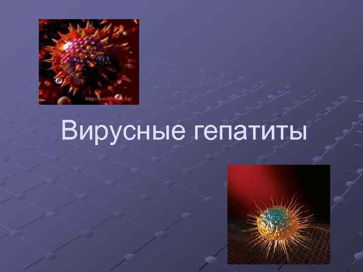 Вирусные гепатиты 