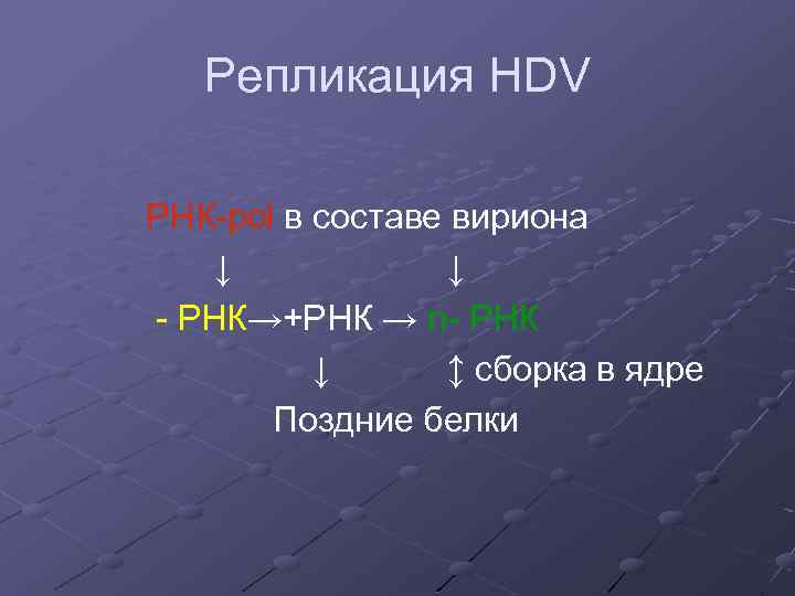 Репликация HDV РНК-pol в составе вириона ↓ ↓ - РНК→+РНК → n- РНК ↓