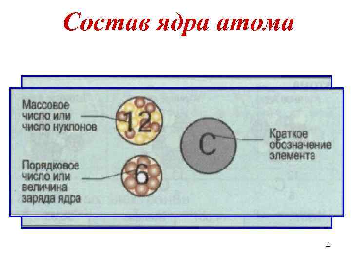 Состав ядра атома 4 