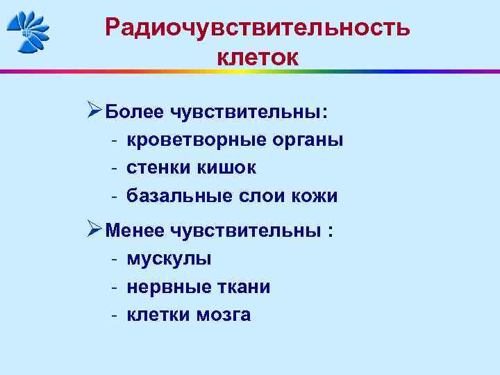 Радиочувствительность клеток ØБолее чувствительны: - кроветворные органы - стенки кишок - базальные слои кожи
